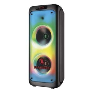 ONE BODY 2X10" LUZ FLAMA KSRLINK