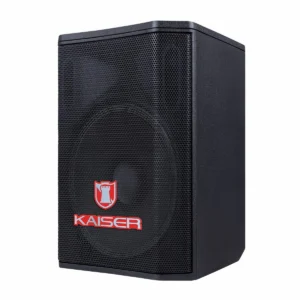 Bafle profesional 8" de 1,200 W PMPO recargable